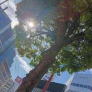 ヒメ日記 2026/04/20 16:14 投稿 ゆい 熊本グラマーグラマー