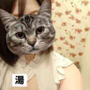 ヒメ日記 2026/08/22 18:28 投稿 ゆい 熊本グラマーグラマー