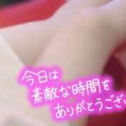 ヒメ日記 2025/06/01 00:37 投稿 まりこ 奥様なでしこ