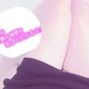 ヒメ日記 2025/06/03 00:26 投稿 まりこ 奥様なでしこ