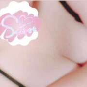 ヒメ日記 2025/11/10 12:00 投稿 まりこ 奥様なでしこ