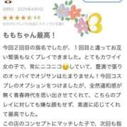 ヒメ日記 2025/04/06 13:48 投稿 未経験もも 清楚系美女専門店PLATINUMプラチナム四日市店