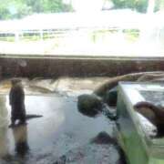 ヒメ日記 2025/09/10 14:21 投稿 まお 三重四日市ちゃんこ