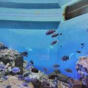 ヒメ日記 2025/09/23 17:01 投稿 まお 三重四日市ちゃんこ