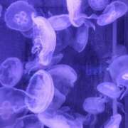 ヒメ日記 2025/09/30 16:51 投稿 まお 三重四日市ちゃんこ