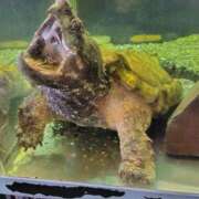 ヒメ日記 2025/09/30 20:51 投稿 まお 三重四日市ちゃんこ