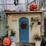 ヒメ日記 2025/10/31 17:21 投稿 まお 三重四日市ちゃんこ