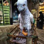 ヒメ日記 2026/01/18 17:21 投稿 まお 三重四日市ちゃんこ