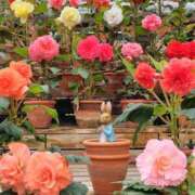 まお 今日って 三重四日市ちゃんこ