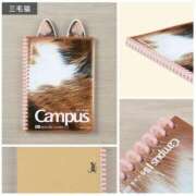 ヒメ日記 2024/12/11 08:30 投稿 青山いちか セレブショップ新宿（東京ハレ系）