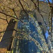 ヒメ日記 2024/12/13 20:03 投稿 青山いちか セレブショップ新宿（東京ハレ系）