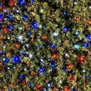 ヒメ日記 2024/12/20 19:05 投稿 青山いちか セレブショップ新宿（東京ハレ系）