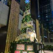 ヒメ日記 2024/12/23 19:30 投稿 青山いちか セレブショップ新宿（東京ハレ系）