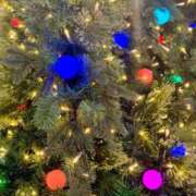 ヒメ日記 2024/12/24 08:31 投稿 青山いちか セレブショップ新宿（東京ハレ系）