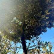 ヒメ日記 2025/01/14 12:14 投稿 青山いちか セレブショップ新宿（東京ハレ系）