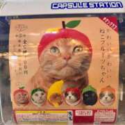 ヒメ日記 2025/02/14 18:01 投稿 青山いちか セレブショップ新宿（東京ハレ系）