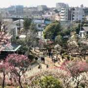 ヒメ日記 2025/03/04 19:01 投稿 青山いちか セレブショップ新宿（東京ハレ系）