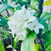 ヒメ日記 2025/03/21 07:03 投稿 青山いちか セレブショップ新宿（東京ハレ系）