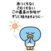 ヒメ日記 2025/05/23 08:30 投稿 青山いちか セレブショップ新宿（東京ハレ系）