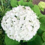 ヒメ日記 2025/05/30 19:02 投稿 青山いちか セレブショップ新宿（東京ハレ系）