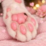 ヒメ日記 2026/02/10 19:02 投稿 青山いちか セレブショップ新宿（東京ハレ系）