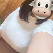 るみか ちんちん 日本橋・谷九サンキュー