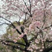 ヒメ日記 2025/03/10 00:05 投稿 えみり 出会い系人妻ネットワーク 上野〜大塚編