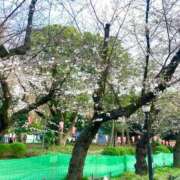 ヒメ日記 2025/03/26 23:54 投稿 えみり 出会い系人妻ネットワーク 上野〜大塚編