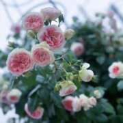 ヒメ日記 2025/05/18 22:20 投稿 えみり 出会い系人妻ネットワーク 上野〜大塚編