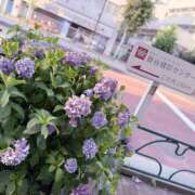 ヒメ日記 2025/06/26 00:37 投稿 えみり 出会い系人妻ネットワーク 上野〜大塚編