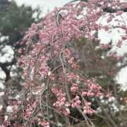 ヒメ日記 2026/04/03 19:02 投稿 えみり 出会い系人妻ネットワーク 上野〜大塚編