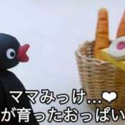 ヒメ日記 2025/07/22 21:08 投稿 ほたる とある風俗店♡やりすぎさーくる新宿大久保店♡で色んな無料オプションしてみました