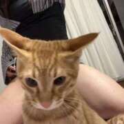 ヒメ日記 2025/03/15 11:55 投稿 わかな PINK PLANET