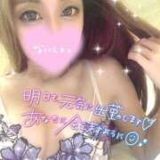 ヒメ日記 2025/02/19 04:00 投稿 あやこ おねだり！ココナッツ