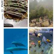 ヒメ日記 2025/05/17 22:34 投稿 はづき The White