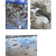 ヒメ日記 2025/05/25 20:19 投稿 はづき The White