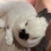 ヒメ日記 2025/06/14 22:24 投稿 はづき The White