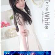 ヒメ日記 2025/09/30 22:02 投稿 ゆうか The White