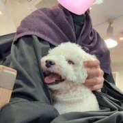 ヒメ日記 2025/02/28 18:02 投稿 Seira Hisui ELEGANT－エレガント－