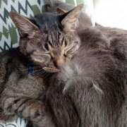 ヒメ日記 2025/07/11 06:42 投稿 ひな 熟女の風俗最終章　越谷店