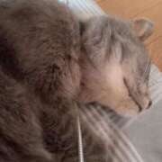 ヒメ日記 2025/07/31 15:02 投稿 ひな 熟女の風俗最終章　越谷店