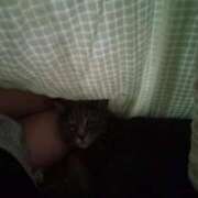 ヒメ日記 2025/09/24 14:31 投稿 ひな 熟女の風俗最終章　越谷店