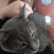 ヒメ日記 2025/11/02 12:51 投稿 ひな 熟女の風俗最終章　越谷店