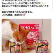 ヒメ日記 2025/12/11 10:02 投稿 ひな 熟女の風俗最終章　越谷店