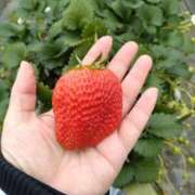 ヒメ日記 2026/02/07 10:05 投稿 ひな 熟女の風俗最終章　越谷店