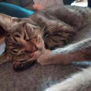 ヒメ日記 2025/02/18 17:42 投稿 ひな 熟女の風俗最終章 西川口店