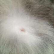 ヒメ日記 2025/02/22 09:22 投稿 ひな 熟女の風俗最終章 西川口店