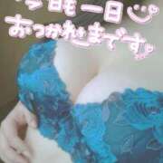 ヒメ日記 2025/03/15 19:35 投稿 ひな 熟女の風俗最終章 西川口店