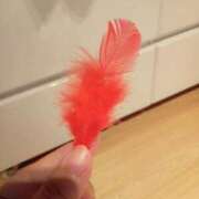 ヒメ日記 2025/10/02 11:24 投稿 ひな 熟女の風俗最終章 西川口店