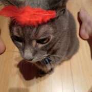 ヒメ日記 2025/10/02 14:52 投稿 ひな 熟女の風俗最終章 西川口店